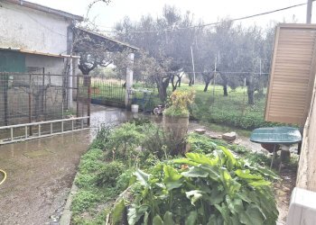 Giardino - Independent house Sessa Aurunca - photo 2