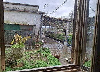 Giardino - Independent house Sessa Aurunca - photo 11