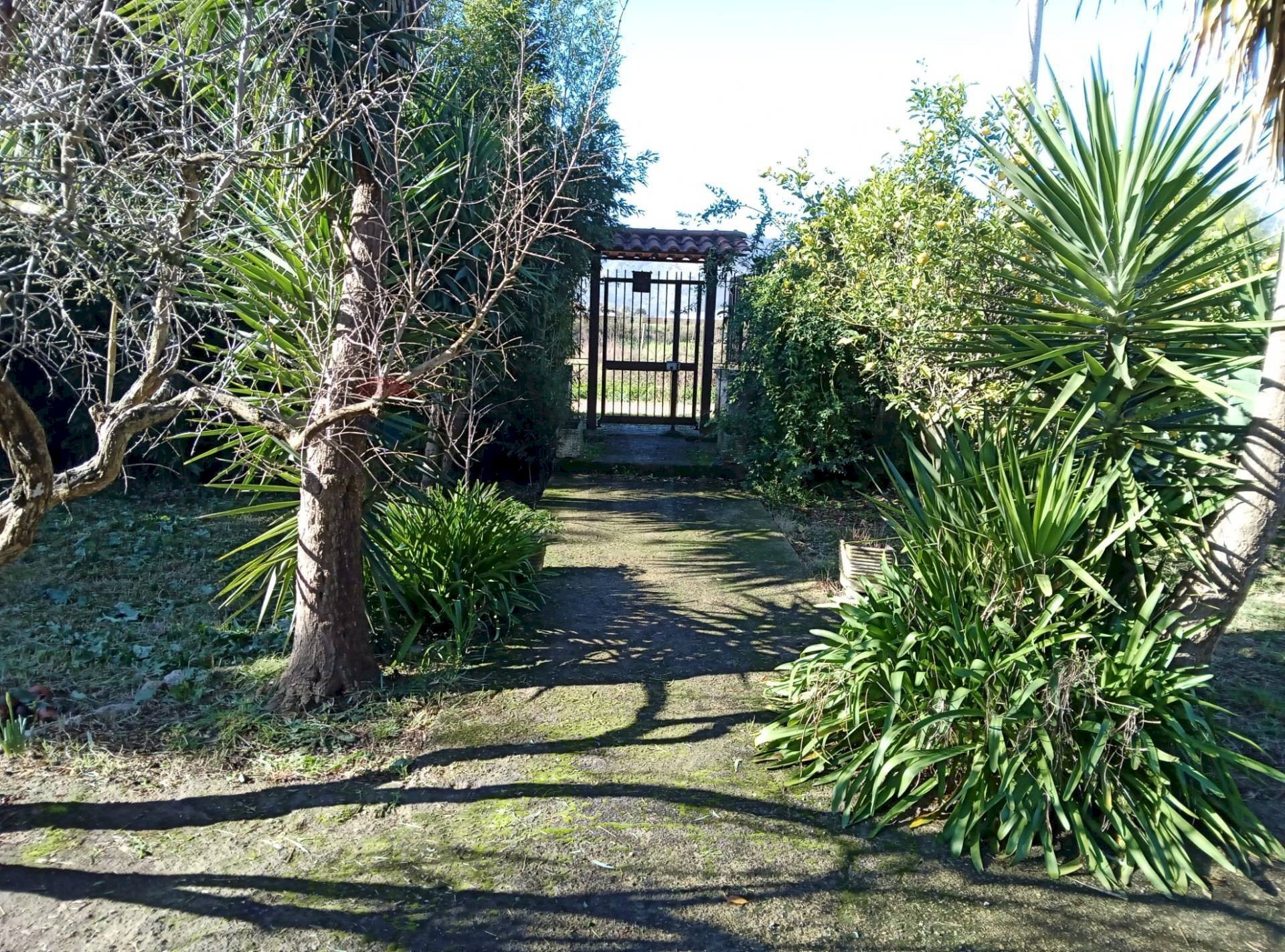 Giardino - Villa Via Portaturo
 
snc, Fondi - foto 3