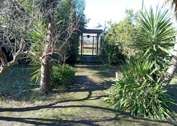 Giardino - Villa Via Portaturo
 
snc, Fondi - foto 3