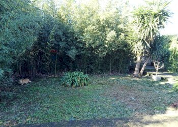 Giardino - Villa Via Portaturo
 
snc, Fondi - foto 31