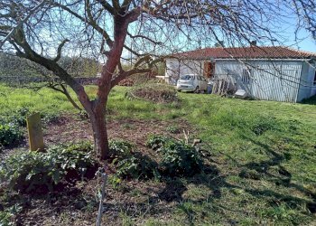 Giardino - Villa Via Portaturo
 
snc, Fondi - foto 34