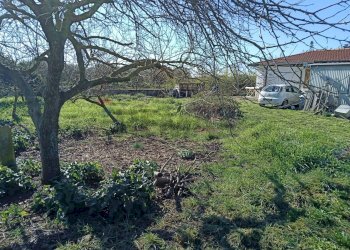 Giardino - Villa Via Portaturo
 
snc, Fondi - foto 35