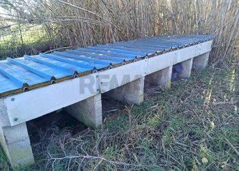 Giardino - Villa Via Portaturo
 
snc, Fondi - foto 36