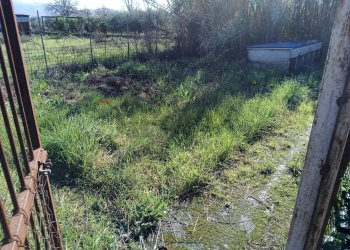 Non correlato - Villa Via Portaturo
 
snc, Fondi - foto 40