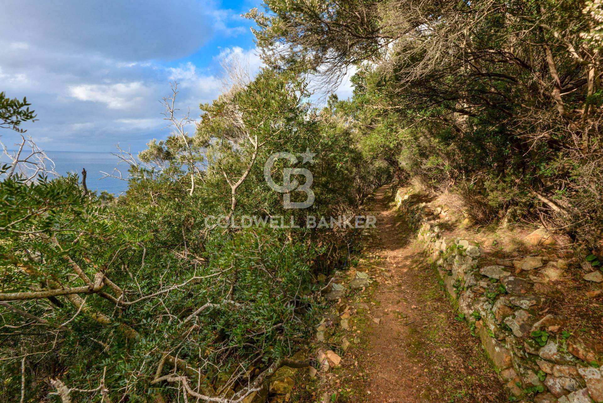 Foto 3 - Villa Loc. La Cala, Marciana Marina - foto 3