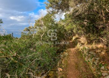 Foto 2 - Villa Loc. La Cala, Marciana Marina - foto 2