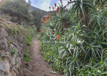 Foto 29 - Villa Loc. La Cala, Marciana Marina - foto 29