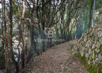 Foto 31 - Villa Loc. La Cala, Marciana Marina - foto 31