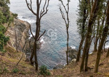 Foto 32 - Villa Loc. La Cala, Marciana Marina - foto 32