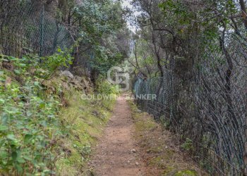 Foto 33 - Villa Loc. La Cala, Marciana Marina - foto 33