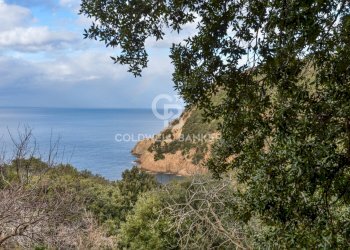 Foto 34 - Villa Loc. La Cala, Marciana Marina - foto 34