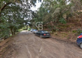 Foto 35 - Villa Loc. La Cala, Marciana Marina - foto 35