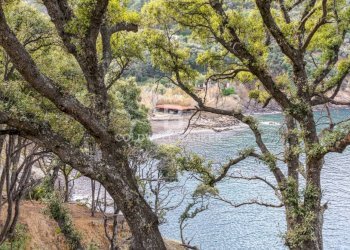 Foto 36 - Villa Loc. La Cala, Marciana Marina - foto 36