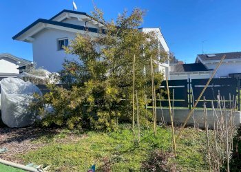 Giardino - Casa indipendente località Tedeschi
 
127, Leini - foto 29