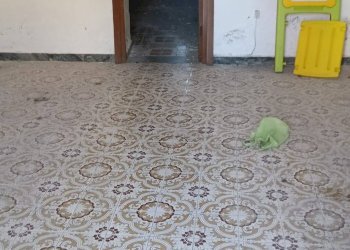 Foto 3 - Bilocale via licinella
 
133, Capaccio Paestum - foto 3