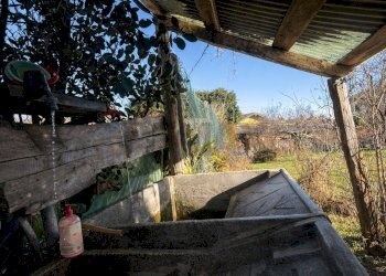 Terrazza - Appartamento Colazza - foto 11