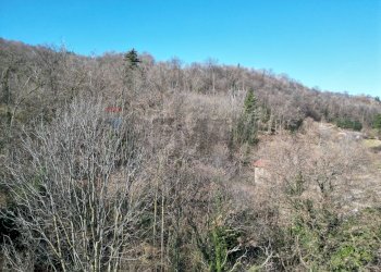 Vista delle montagne - Terreno edificabile Via Pore Musolischvili, Belgirate - foto 14