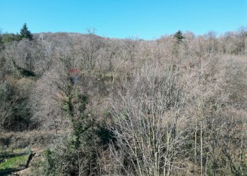 Vista delle montagne - Terreno edificabile Via Pore Musolischvili, Belgirate - foto 15