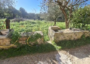 Giardino - Villa Via Modica Ispica
 
139, Modica - foto 11