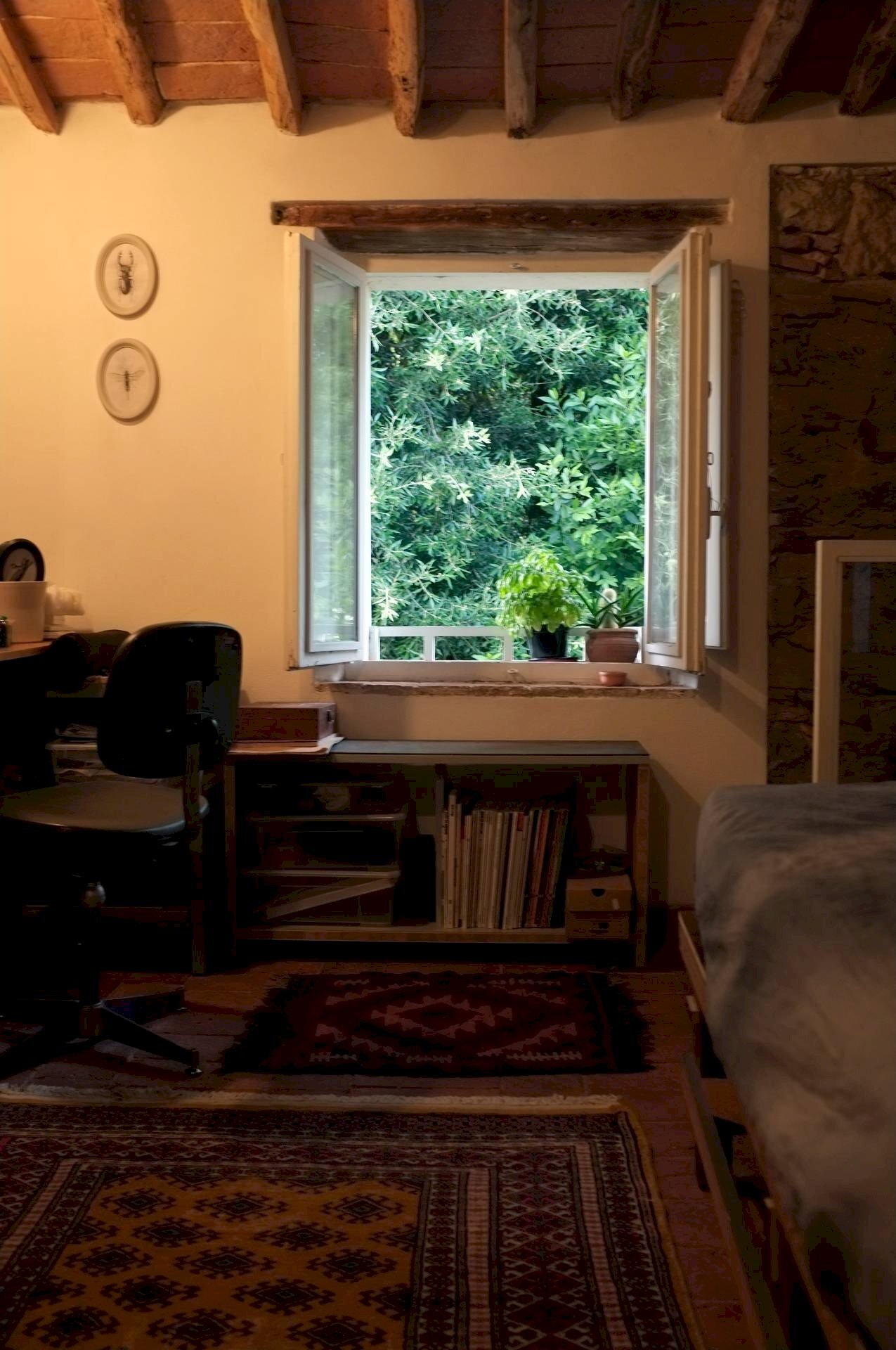 Foto 2 - Bilocale Via San Giuseppe
 
10, Buti - foto 2