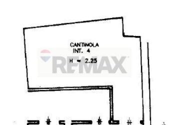 Pianta 2D - Cantina / Solaio Napoli - foto 11