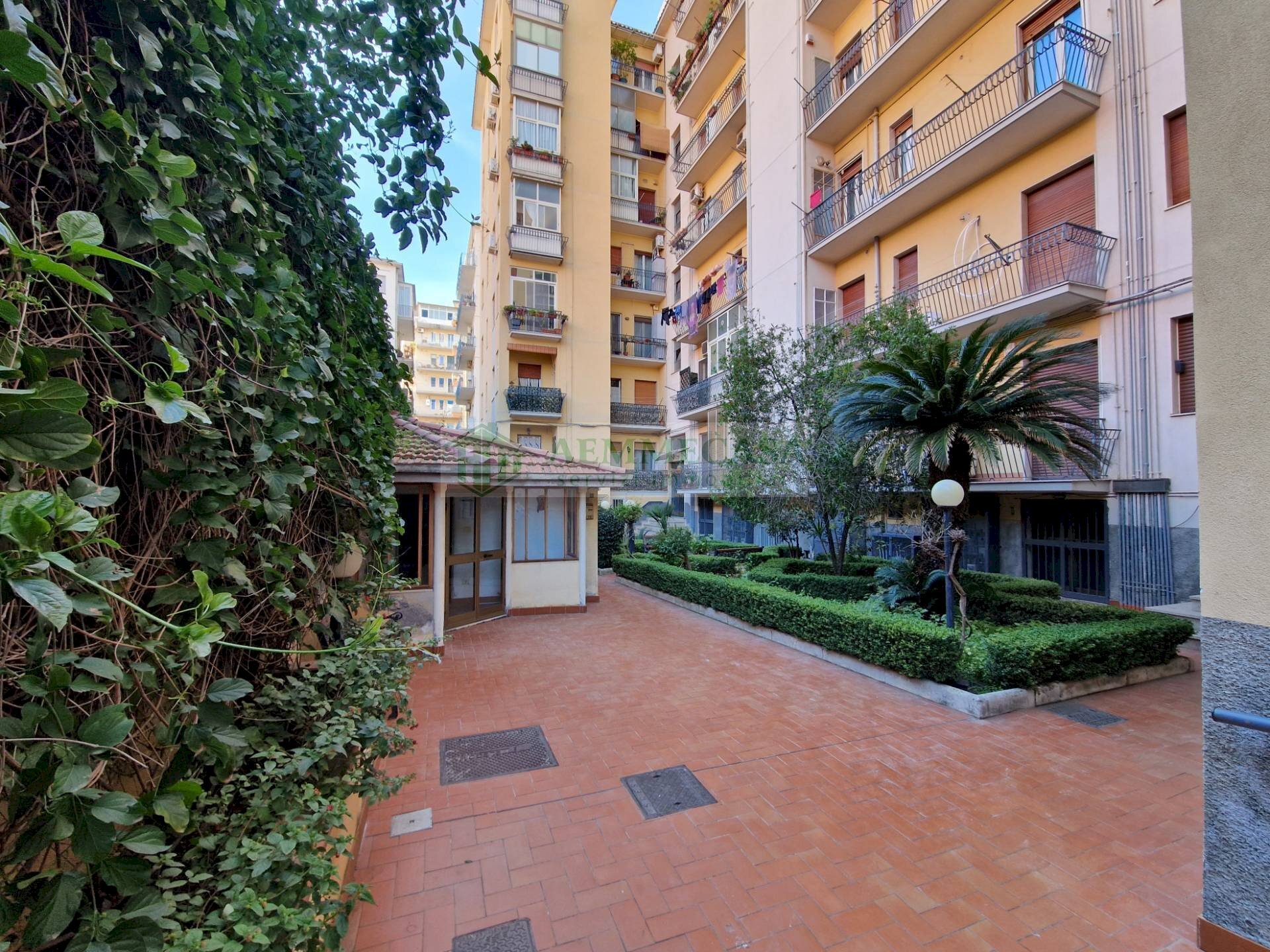 Foto 4 - Quadrilocale Via Eleonora D'angio'
 
23, Catania - foto 3