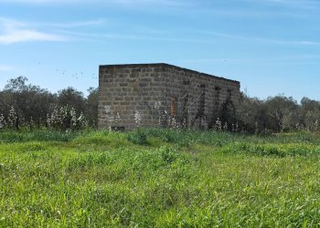 Foto 6 - Villa Via delle Tessitrici
 
3, Sannicola - foto 6