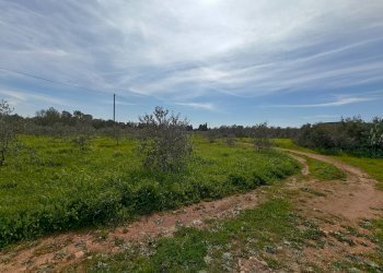 Foto 9 - Villa Via delle Tessitrici
 
3, Sannicola - foto 9