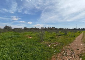 Foto 10 - Villa Via delle Tessitrici
 
3, Sannicola - foto 10