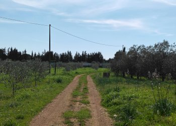 Foto 12 - Villa Via delle Tessitrici
 
3, Sannicola - foto 12