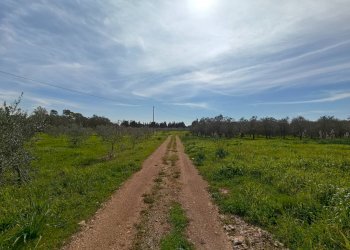 Foto 13 - Villa Via delle Tessitrici
 
3, Sannicola - foto 13