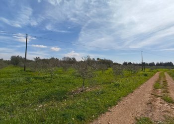 Foto 14 - Villa Via delle Tessitrici
 
3, Sannicola - foto 14