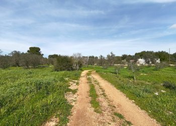 Foto 15 - Villa Via delle Tessitrici
 
3, Sannicola - foto 15