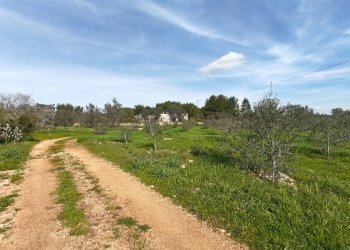 Foto 16 - Villa Via delle Tessitrici
 
3, Sannicola - foto 16