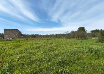 Foto 17 - Villa Via delle Tessitrici
 
3, Sannicola - foto 17