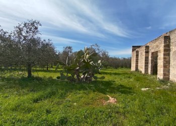 Foto 19 - Villa Via delle Tessitrici
 
3, Sannicola - foto 19