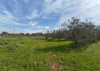 Foto 21 - Villa Via delle Tessitrici
 
3, Sannicola - foto 21