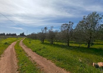 Foto 25 - Villa Via delle Tessitrici
 
3, Sannicola - foto 25