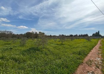 Foto 27 - Villa Via delle Tessitrici
 
3, Sannicola - foto 27