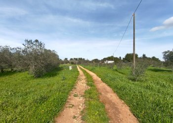 Foto 28 - Villa Via delle Tessitrici
 
3, Sannicola - foto 28