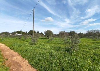 Foto 30 - Villa Via delle Tessitrici
 
3, Sannicola - foto 30