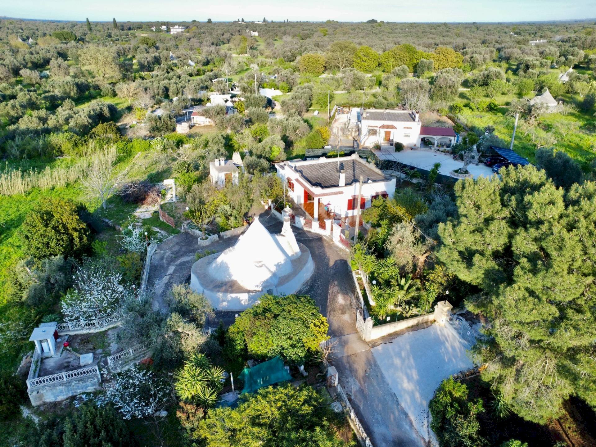 Foto 1 - Villa Contrada Abbondanza, Ceglie Messapica - foto 1