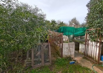 Foto 7 - Villa Contrada Abbondanza, Ceglie Messapica - foto 7