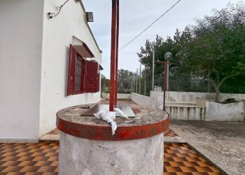 Foto 11 - Villa Contrada Abbondanza, Ceglie Messapica - foto 11