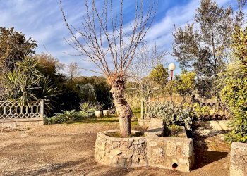 Foto 18 - Villa Contrada Abbondanza, Ceglie Messapica - foto 18