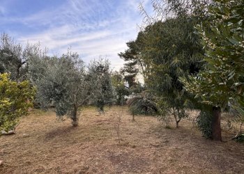 Foto 41 - Villa Contrada Abbondanza, Ceglie Messapica - foto 41