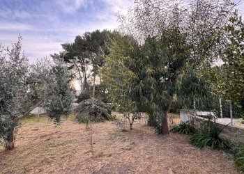 Foto 42 - Villa Contrada Abbondanza, Ceglie Messapica - foto 42