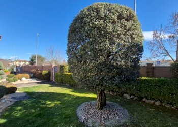 Foto 97 - Villa VIA 2 GIUGNO
 
4, Sarmato - photo 97