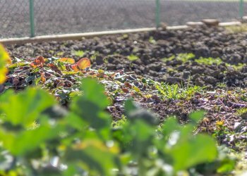 Foto 50 - Stabile - Palazzo Via Pio La Torre
 
23, Bentivoglio - foto 50